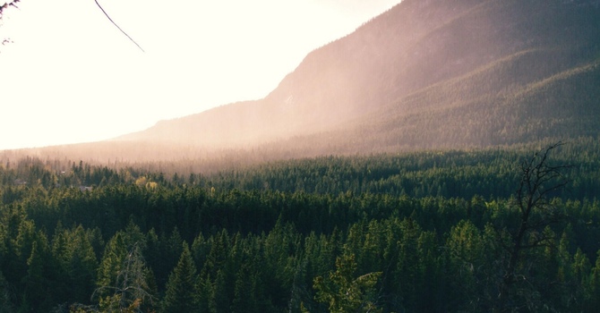 Understanding the Benefits of Zone Technique image